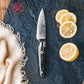 Grandsharp Paring Fruit Kitchen Knife 67 Layers 4 Inch AUS10 Damascus Steel Kitchen Paring Knives with Black Carbon Fiber Handle