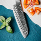 Grandsharp 7 Inch Santoku Damascus Knife Premium 129 Layers Damascus Steel Japanese Santoku Knives with Blue Resin Handle