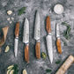 Grandsharp Premium 1-5pcs Damascus Kitchen Knife Set 67 Layers AUS-10 Cutting Core Africa Rose Wood Handle Meat Food Cutter