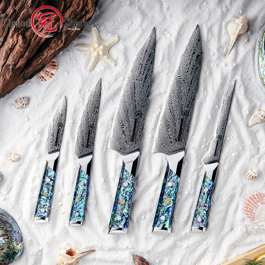5 Pcs Damascus Kitchen Knife Set AUS10 Chef Knife Kiritsuke Boning Utility Paring Knife with Abalone Shell Handle