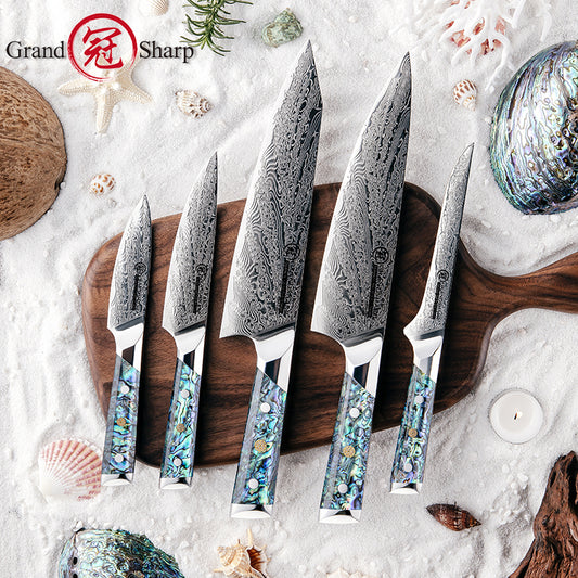 5 Pcs Damascus Kitchen Knife Set AUS10 Chef Knife Kiritsuke Boning Utility Paring Knife with Abalone Shell Handle