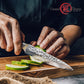 Grandsharp 5'' Utility Knife Japanese 67 Layers Damascus AUS10 Steel Kitchen Utility Knife Africa Rose Wood Handle