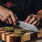Grandsharp 5.5 Inch Japanese Bunka Knife 67 Layers Damascus Steel Kitchen Bunka Cooking Knives with Black Carbon Fiber Handle