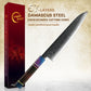 Grandsharp 9'' Chef Knife 67 Layer Damascus Carbon Steel Kitchen Chef Gyuto Knives Cutting Stable Solidfied Wood Handle