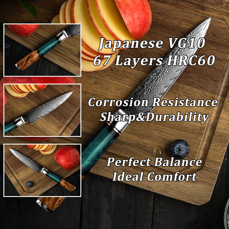Professional 67 Layers Japanese VG10 Damascus Steel Knives 4.3 Inch Utility Knife Universal Knife Vegetable Kitchen Knife Cooking