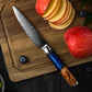 Professional 67 Layers Japanese VG10 Damascus Steel Knives 4.3 Inch Utility Knife Universal Knife Vegetable Kitchen Knife Cooking