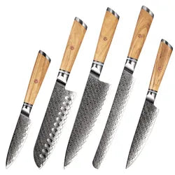 5 Pcs Japanese Damascus Steel Set Damascus AUS 10 Chef Knife Japanese Santoku Utility paring Chef Knife set